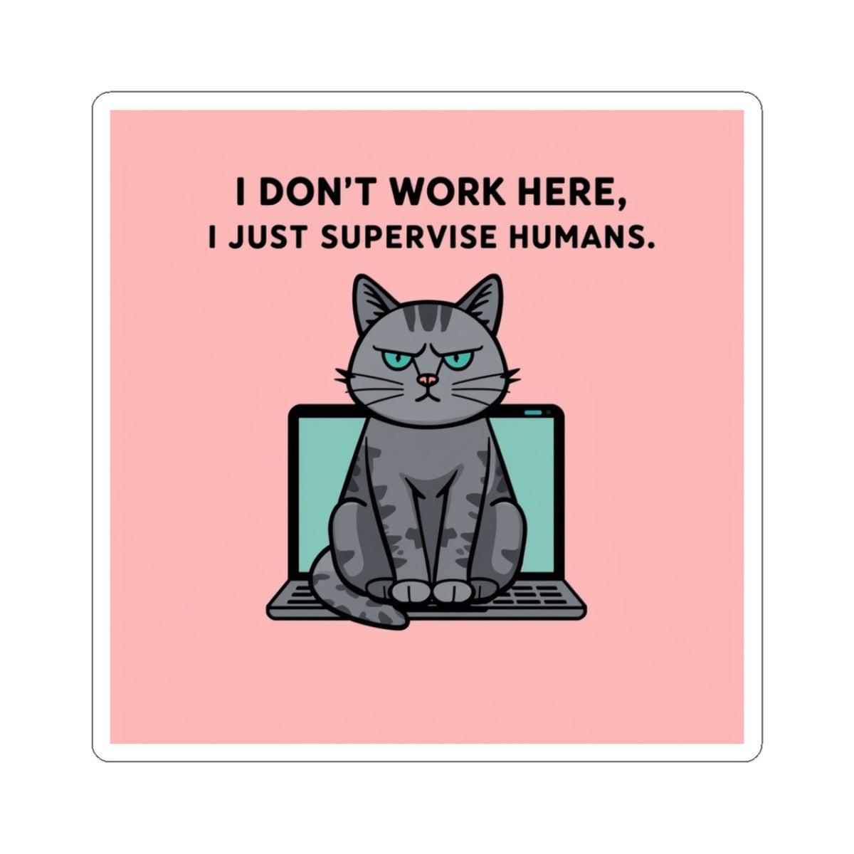 Cat Computer Meme Sticker - Pink - 3"  3" | White