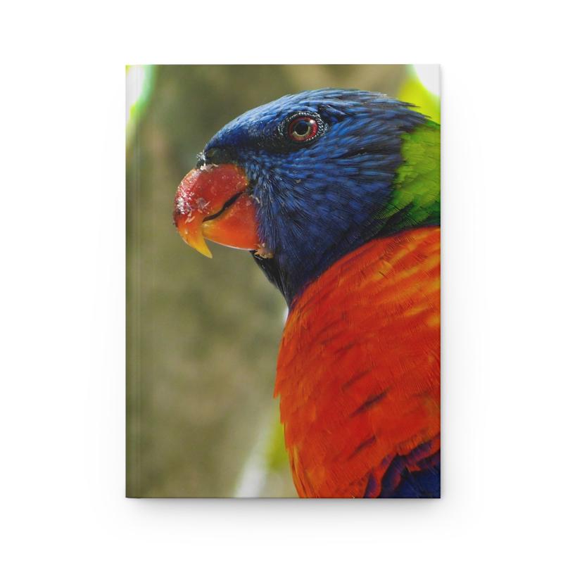 Rainbow Lorikeet Hardcover Journal