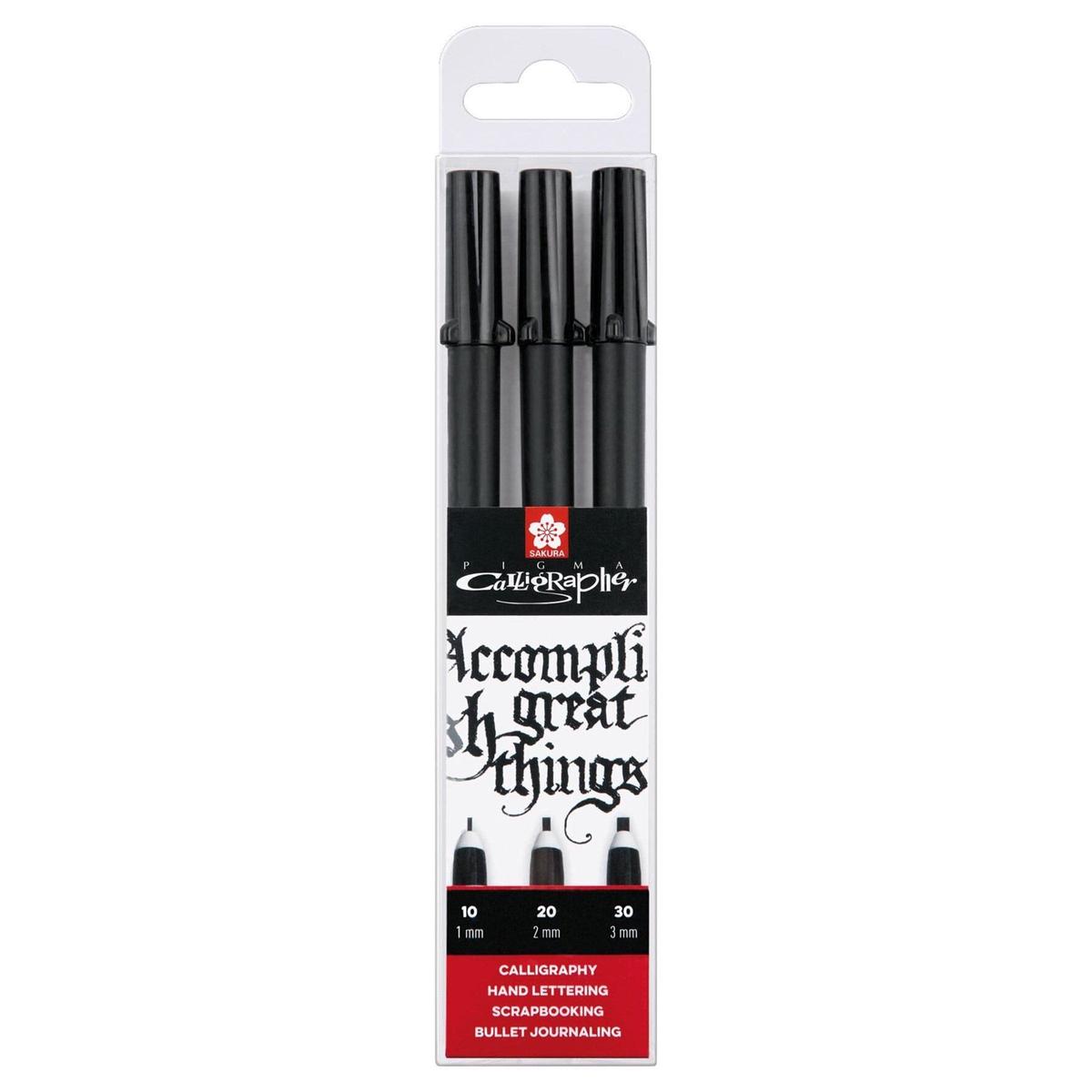 Sakura Pigma Calligrapher set, 3 Pieces