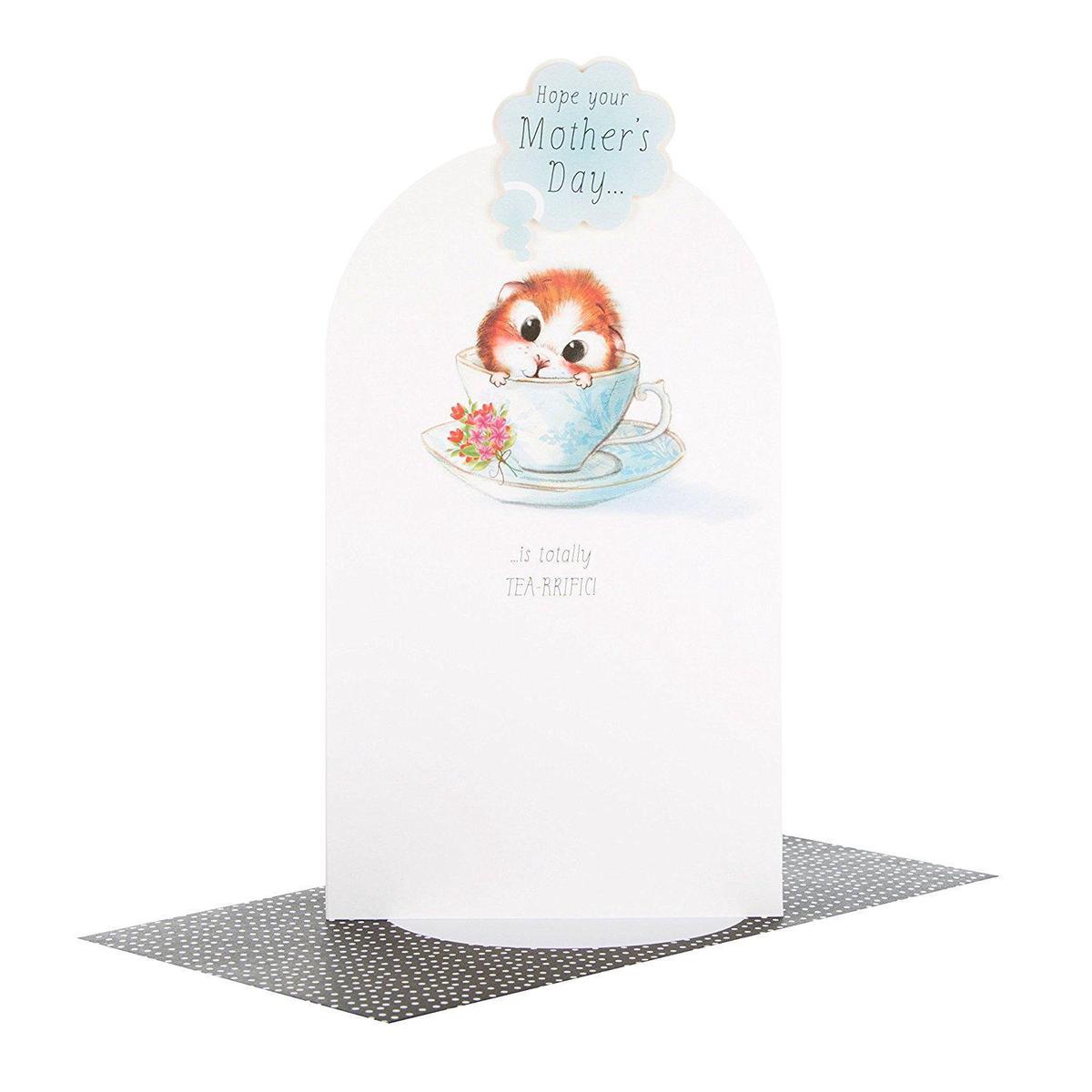 'Terrific' Adorable 3D Mother's Day Card