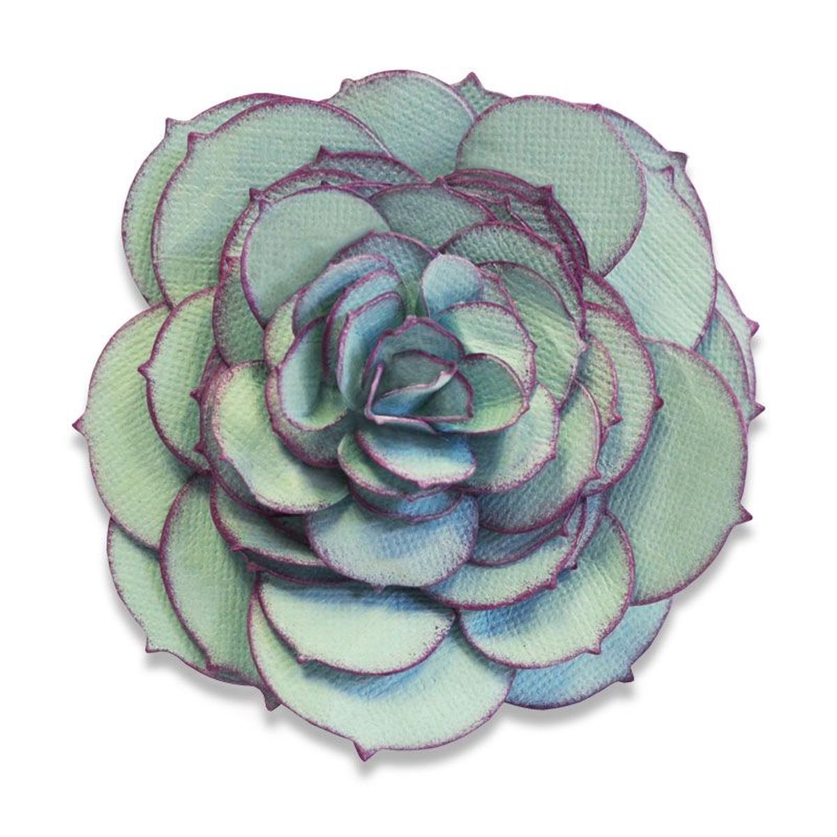 Bigz Die Succulent By Sophie Guilar
