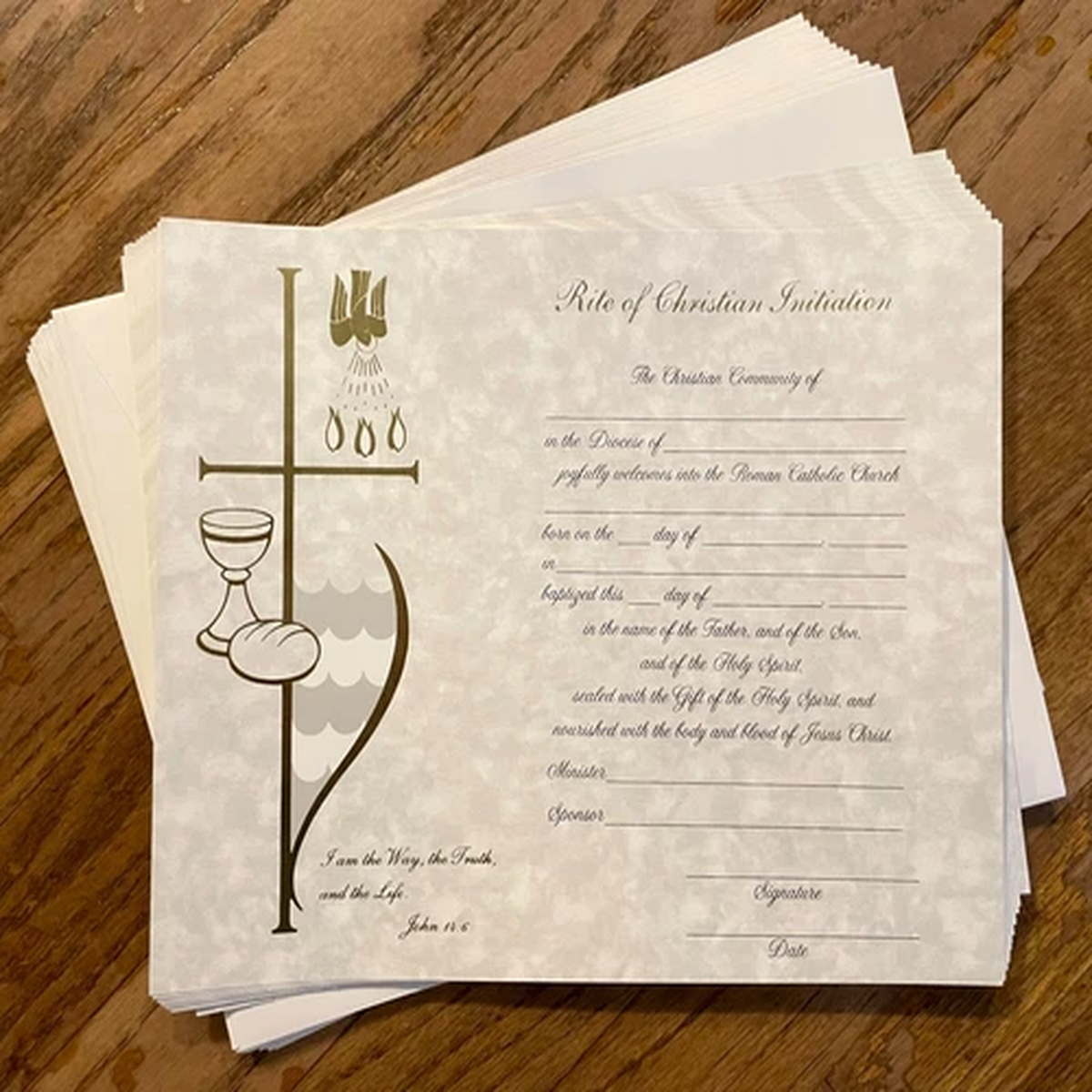 12- RCIA Catholic 8"x 10" CERTIFICATES & 12 ENVELOPES / Cross Bread Dove XB-109